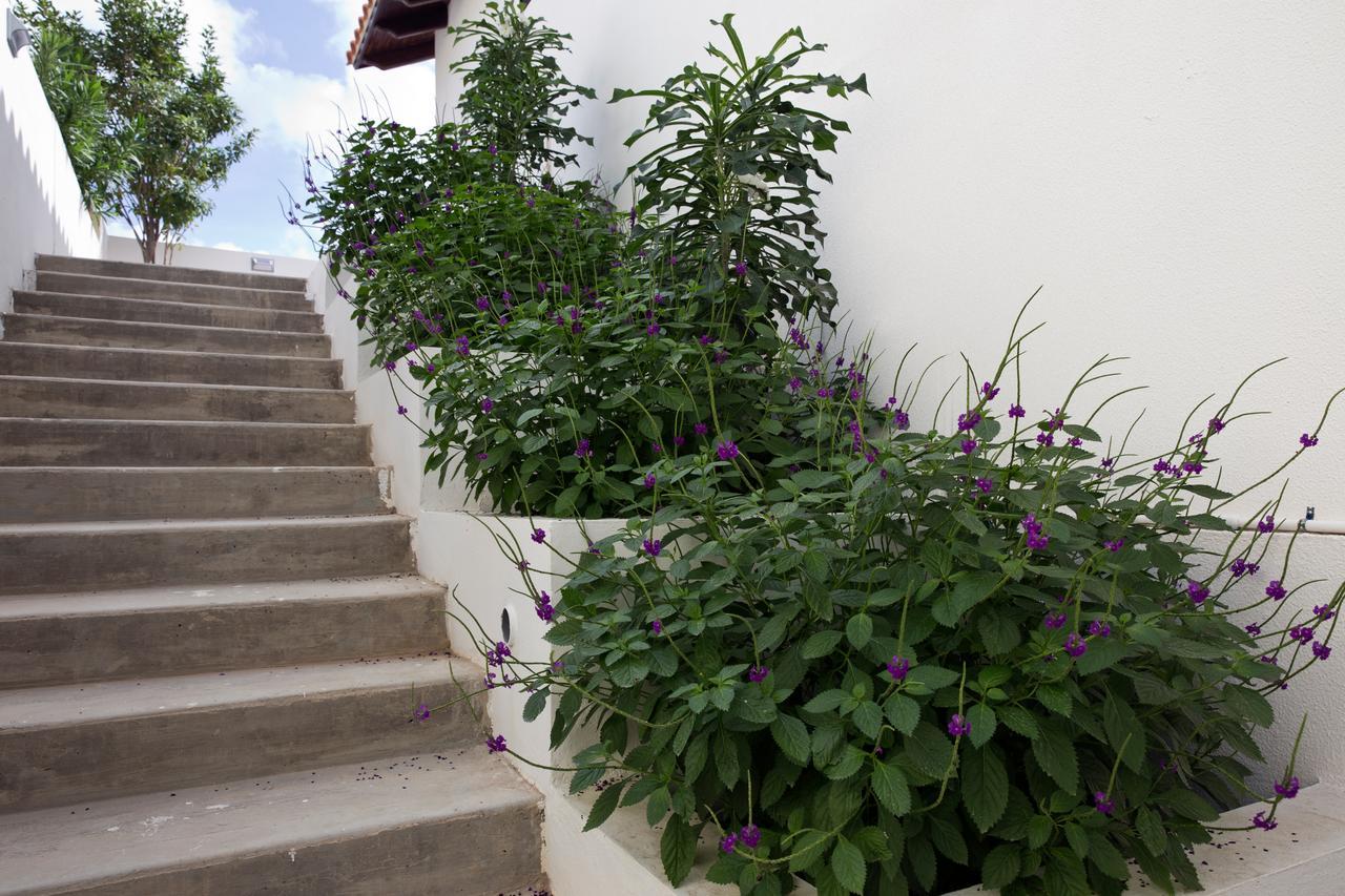 One Ocean Boutique Apartments & Suites Bonaire Kralendijk Esterno foto