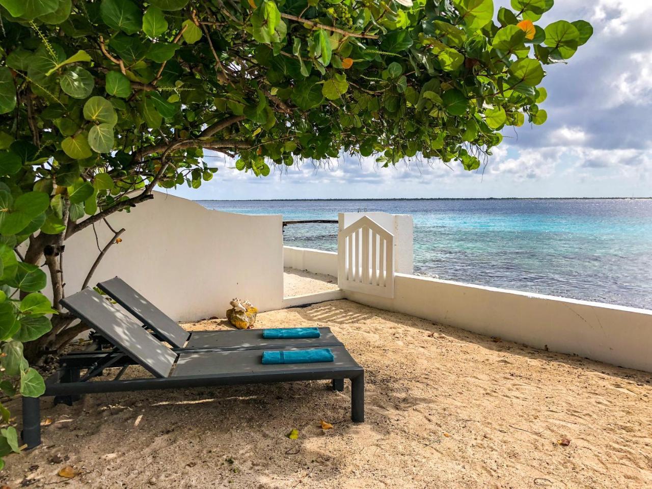 One Ocean Boutique Apartments & Suites Bonaire Kralendijk Esterno foto